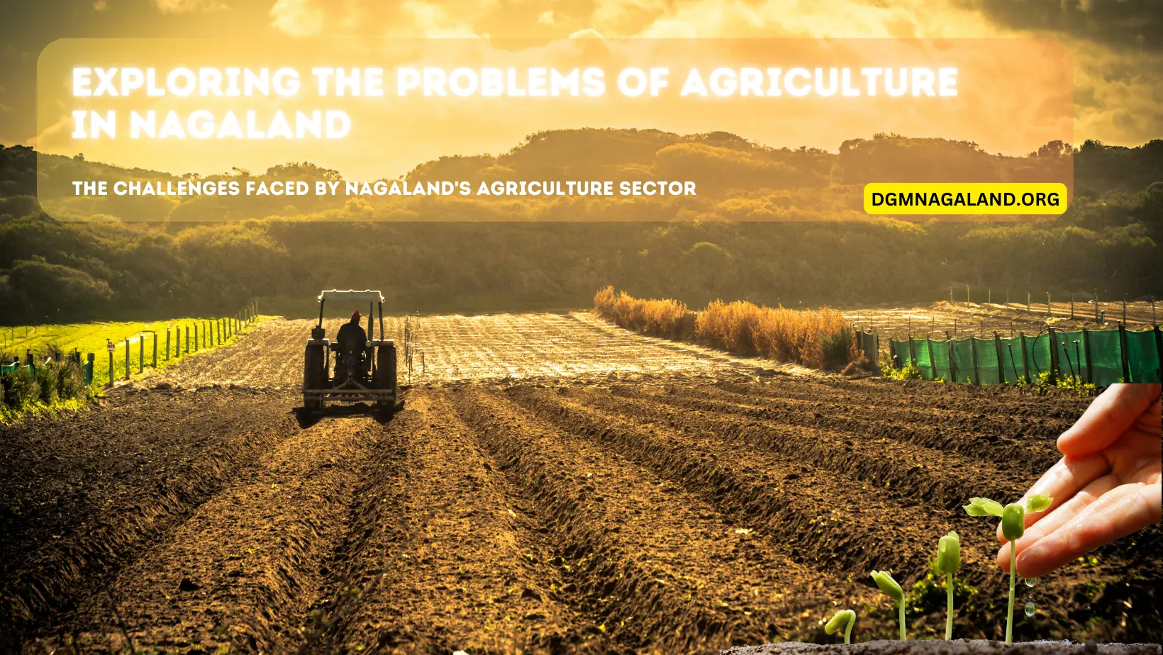 Exploring the Problems of Agriculture in Nagaland