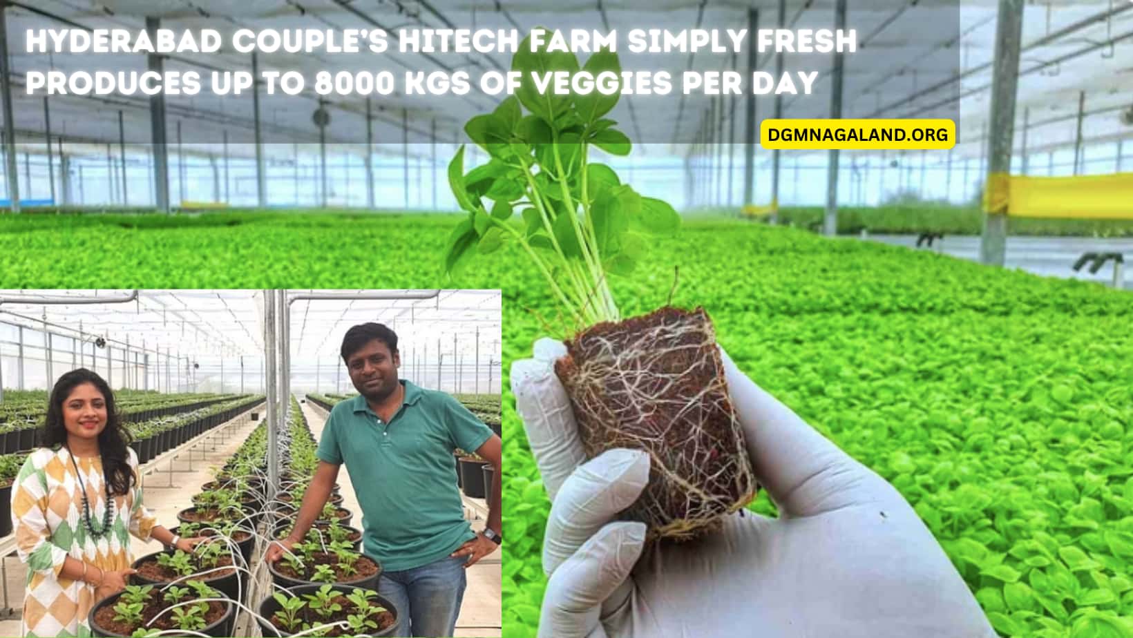 Hyderabad Couple’s HiTech Farm Simply Fresh Produces Up to 8000 Kgs of Veggies per Day