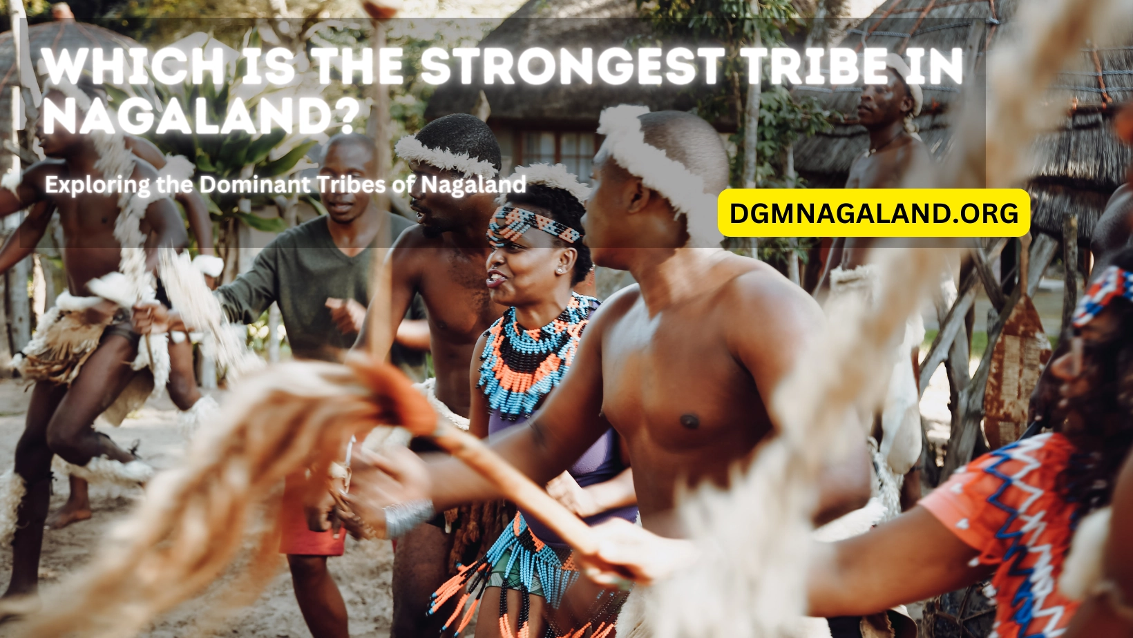 Which is the strongest tribe in Nagaland?