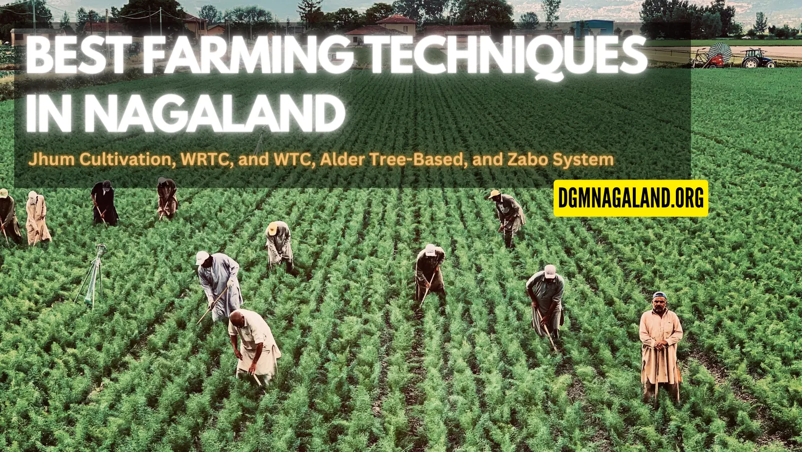 Best Farming Techniques in Nagaland: Jhum Cultivation, WRTC, and WTC, Alder Tree-Based, and Zabo System