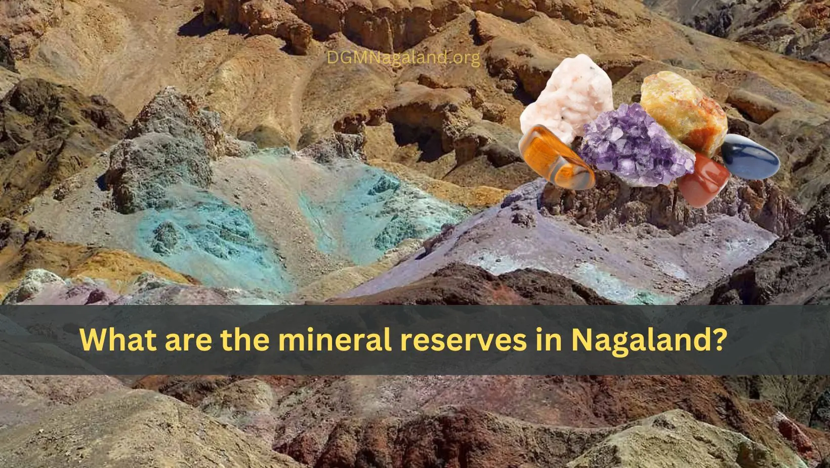What are the mineral reserves in Nagaland?